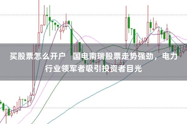买股票怎么开户   国电南瑞股票走势强劲，电力行业领军者吸引投资者目光