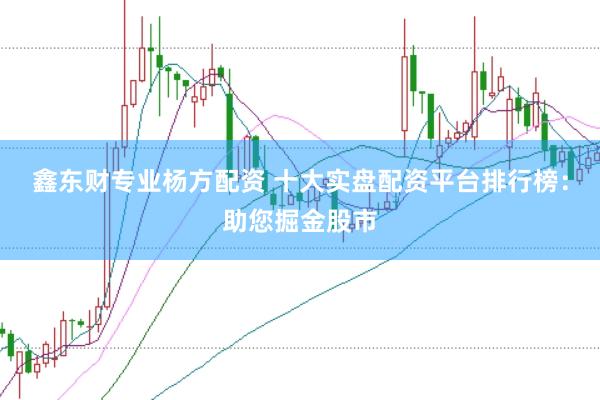 鑫东财专业杨方配资 十大实盘配资平台排行榜：助您掘金股市