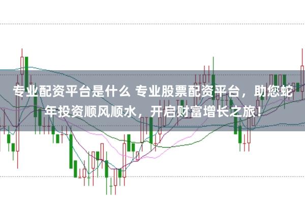 专业配资平台是什么 专业股票配资平台，助您蛇年投资顺风顺水，开启财富增长之旅！