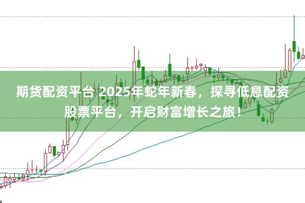 期货配资平台 2025年蛇年新春，探寻低息配资股票平台，开启财富增长之旅！