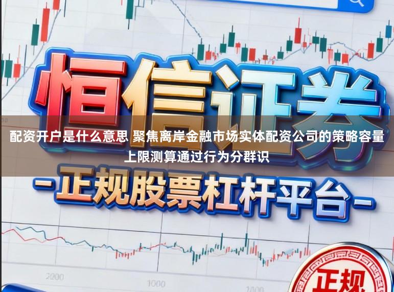 配资开户是什么意思 聚焦离岸金融市场实体配资公司的策略容量上限测算通过行为分群识